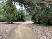 Enlarge photo 29
