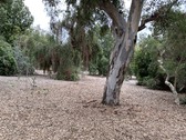 Enlarge photo 30