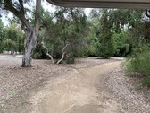 Enlarge photo 31