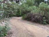 Enlarge photo 32