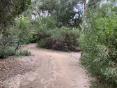 Enlarge photo 33