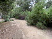 Enlarge photo 34