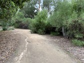 Enlarge photo 35