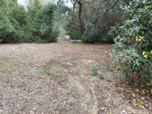 Enlarge photo 36