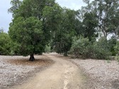 Enlarge photo 37