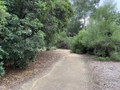 Enlarge photo 38