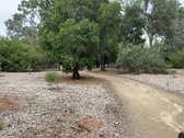 Enlarge photo 39