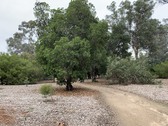Enlarge photo 40