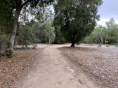Enlarge photo 41