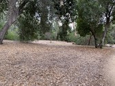 Enlarge photo 42