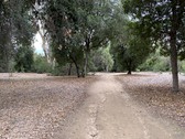 Enlarge photo 43