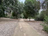 Enlarge photo 44