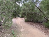 Enlarge photo 45