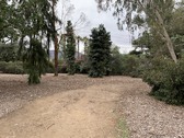 Enlarge photo 46