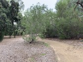 Enlarge photo 47