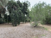 Enlarge photo 48