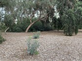 Enlarge photo 49