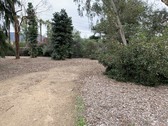 Enlarge photo 50