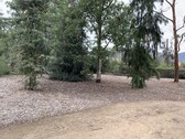 Enlarge photo 51