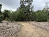Enlarge photo 52