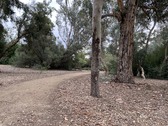Enlarge photo 53