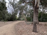 Enlarge photo 54