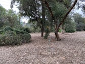 Enlarge photo 57