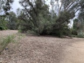 Enlarge photo 58