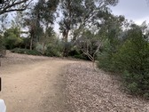 Enlarge photo 59
