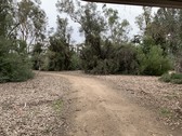 Enlarge photo 61
