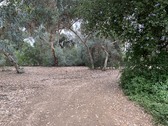 Enlarge photo 62