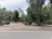 Arboretum Section 2