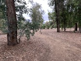 Enlarge photo 17