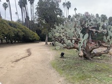 Arboretum Section 3