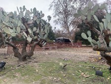 Enlarge photo 2