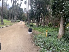 Enlarge photo 5