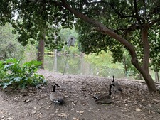 Enlarge photo 17