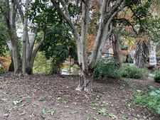 Enlarge photo 19