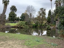 Enlarge photo 20
