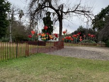 Enlarge photo 23