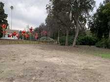 Enlarge photo 25