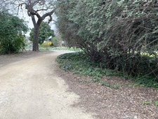 Enlarge photo 26