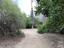 Enlarge photo 30