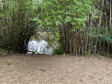Enlarge photo 33