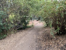 Enlarge photo 34