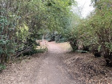 Enlarge photo 35
