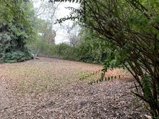 Enlarge photo 36