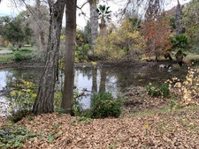 Enlarge photo 37