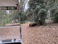 Enlarge photo 38