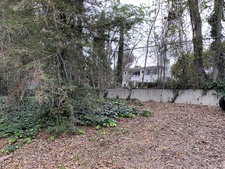 Enlarge photo 39